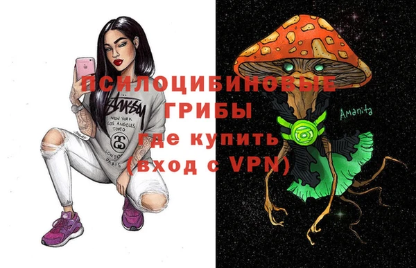 тгк Алексин