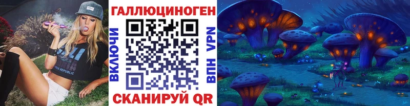 KRAKEN как войти  Собинка  Галлюциногенные грибы GOLDEN TEACHER 